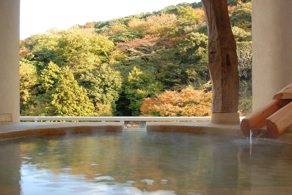 Hakone Suimeisou onsen with forest views