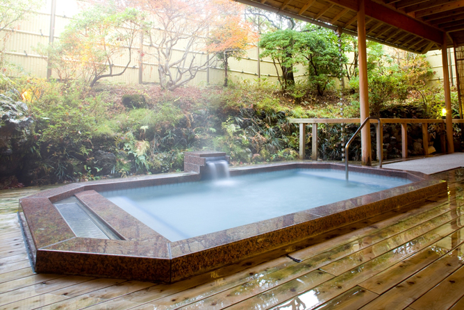 Fuji view hotel open air onsen