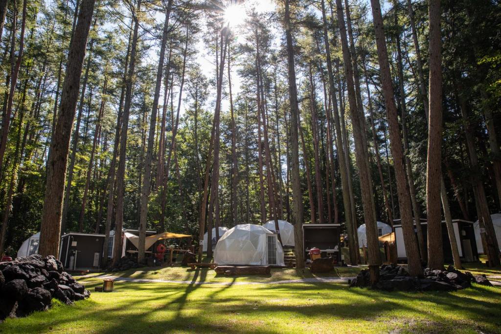 Glamping Villa Hanz Kawaguchiko pods in nature