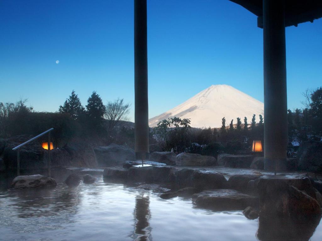 Hotel Green Plaza Hakone outdoor onsen