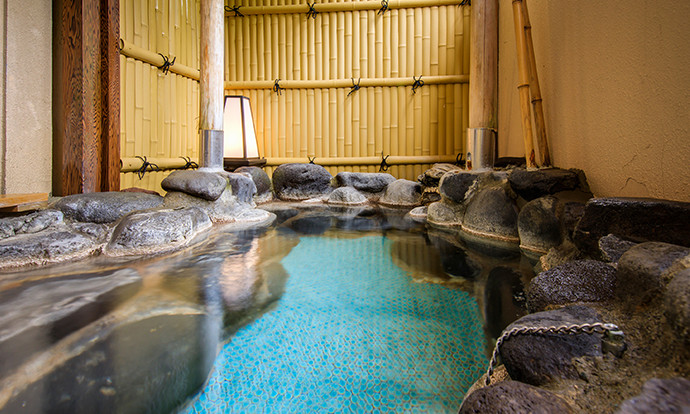 Hotel Green Plaza Hakone private onsen