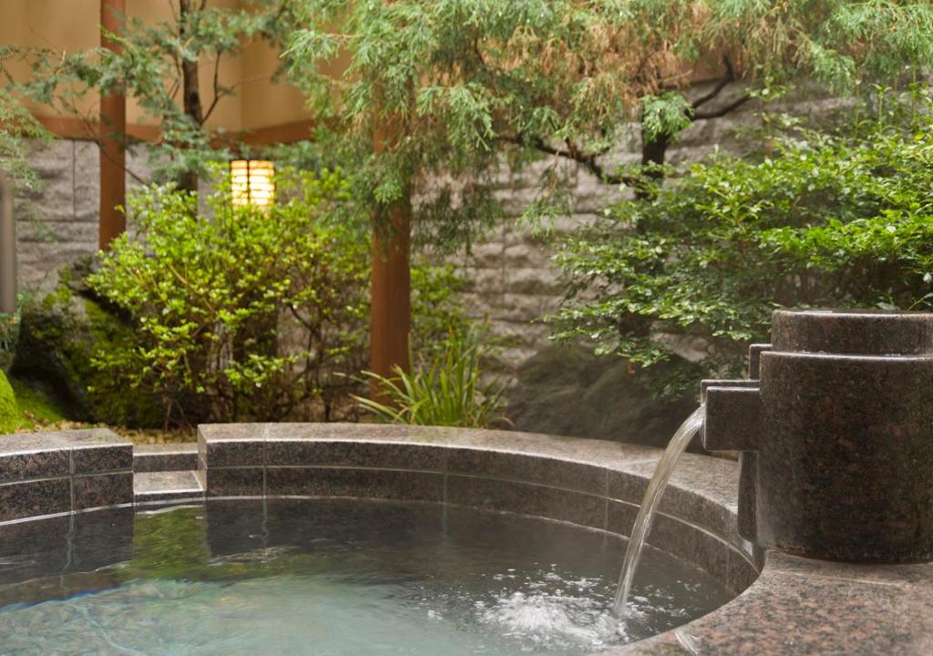 Ooike Hotel garden hot springs