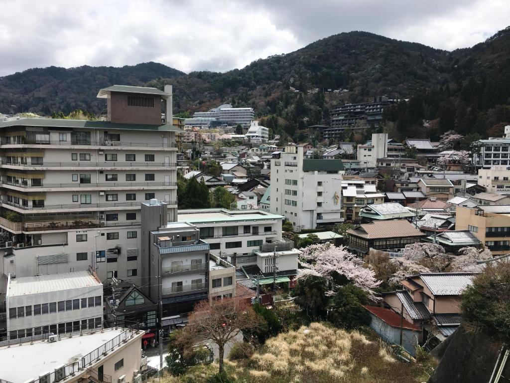 Arima Gyoen views from the room