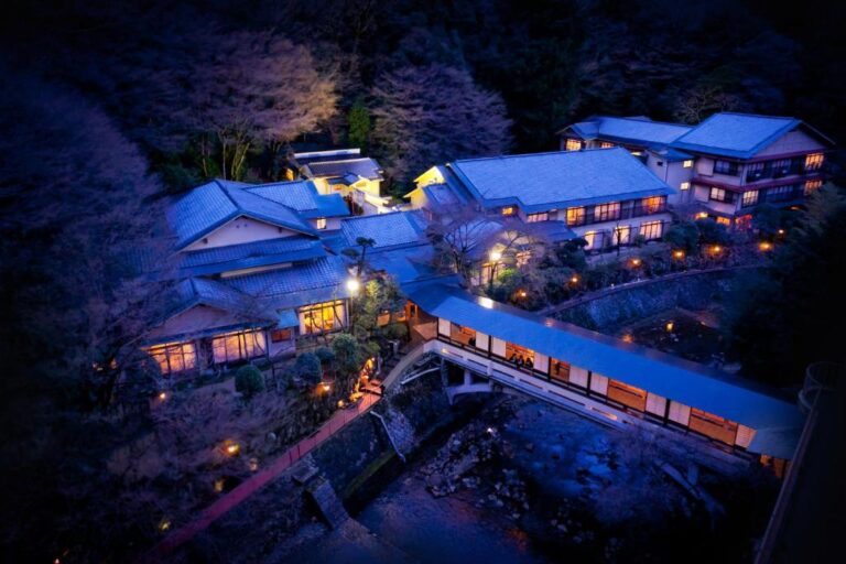 Arima Onsen Gekkoen Yugetsusanso from above