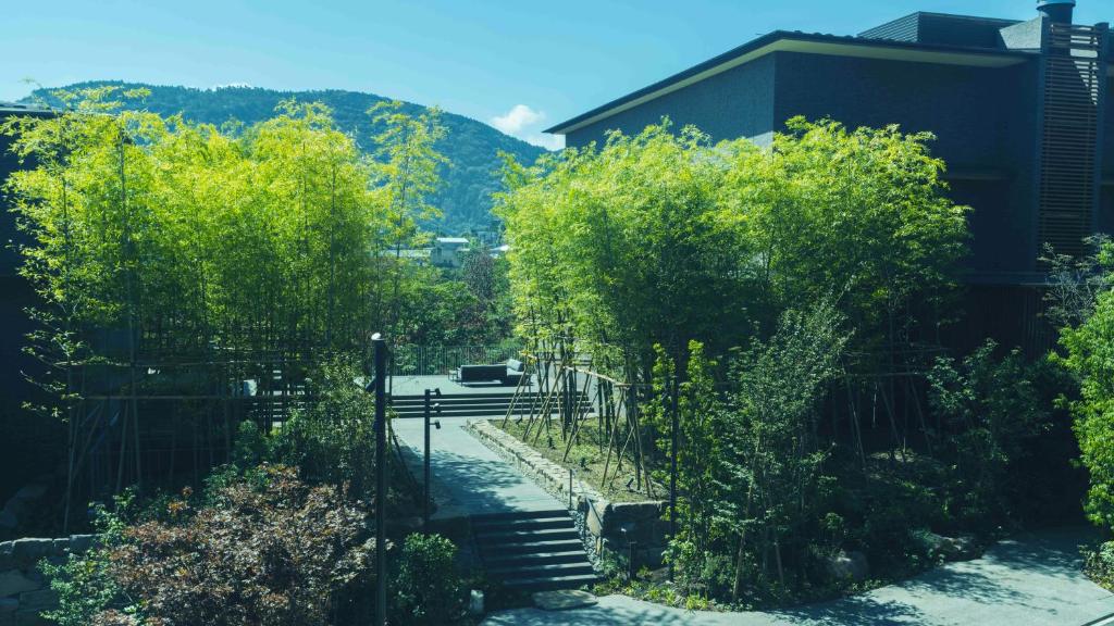 Hakone Gora KARAKU forest views