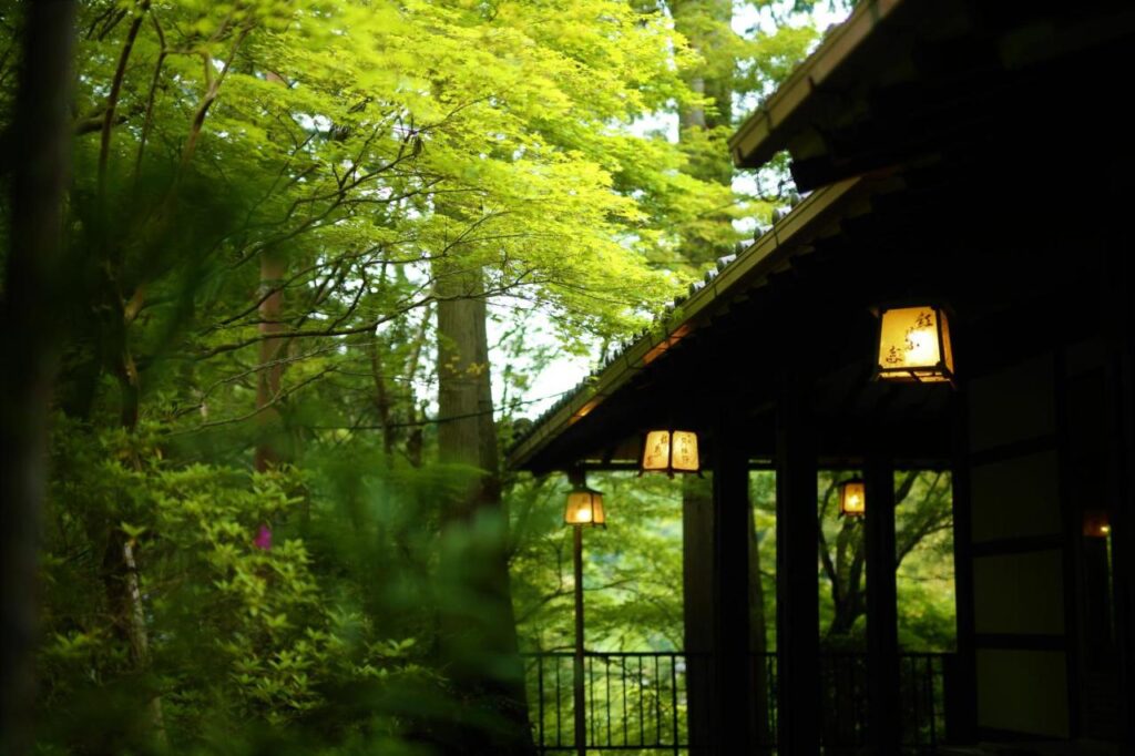 Momiji-ya Annex Kawa-no-Iori stunning forest