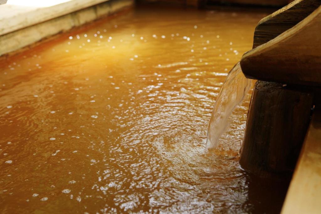 Negiya Ryofukaku gold hot spring