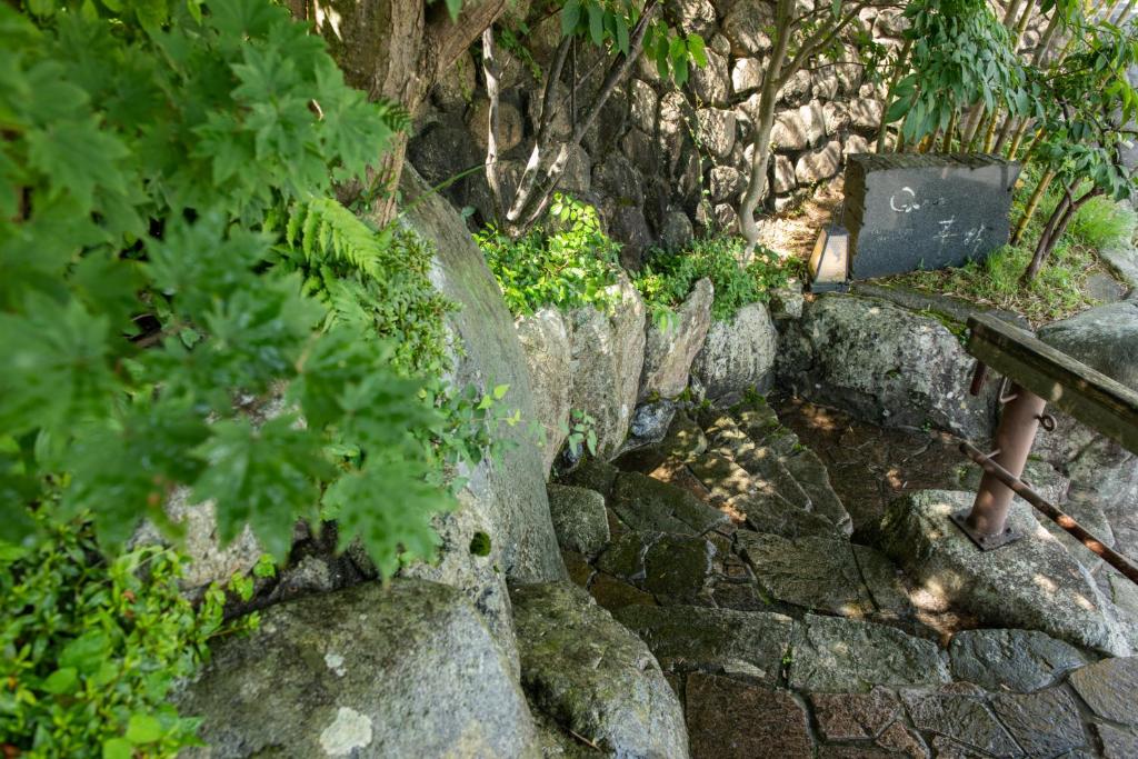 Takayamaso Hanano nature around the property