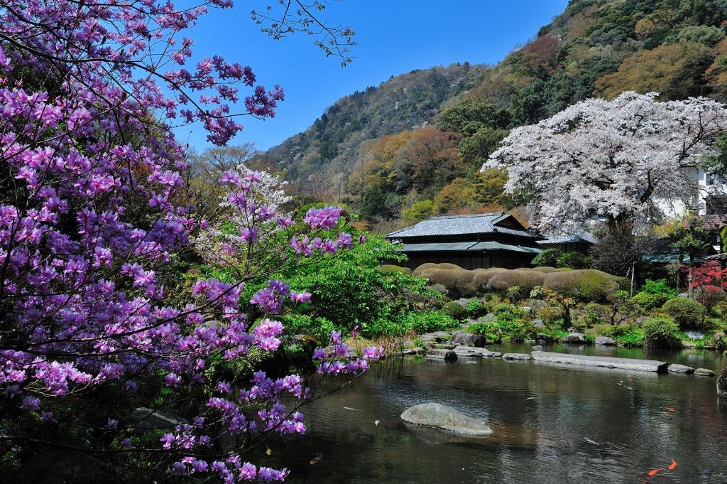 Yoshiike Ryokan garden in spring