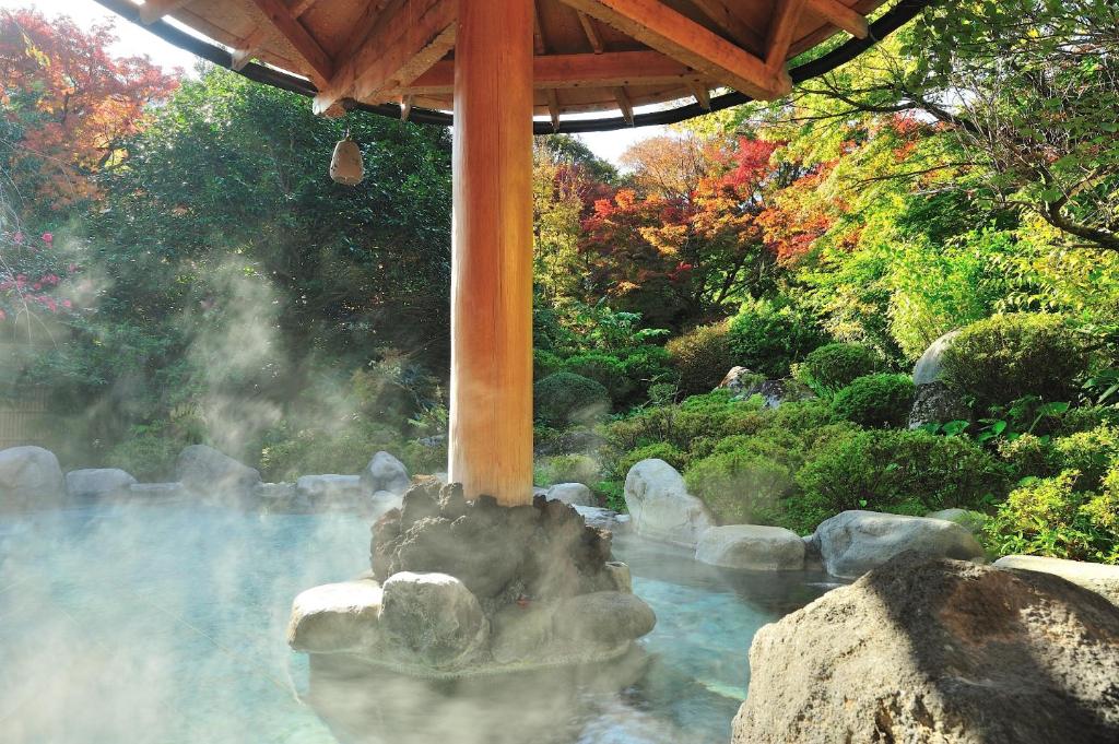 Yoshiike Ryokan open air natural hot spring