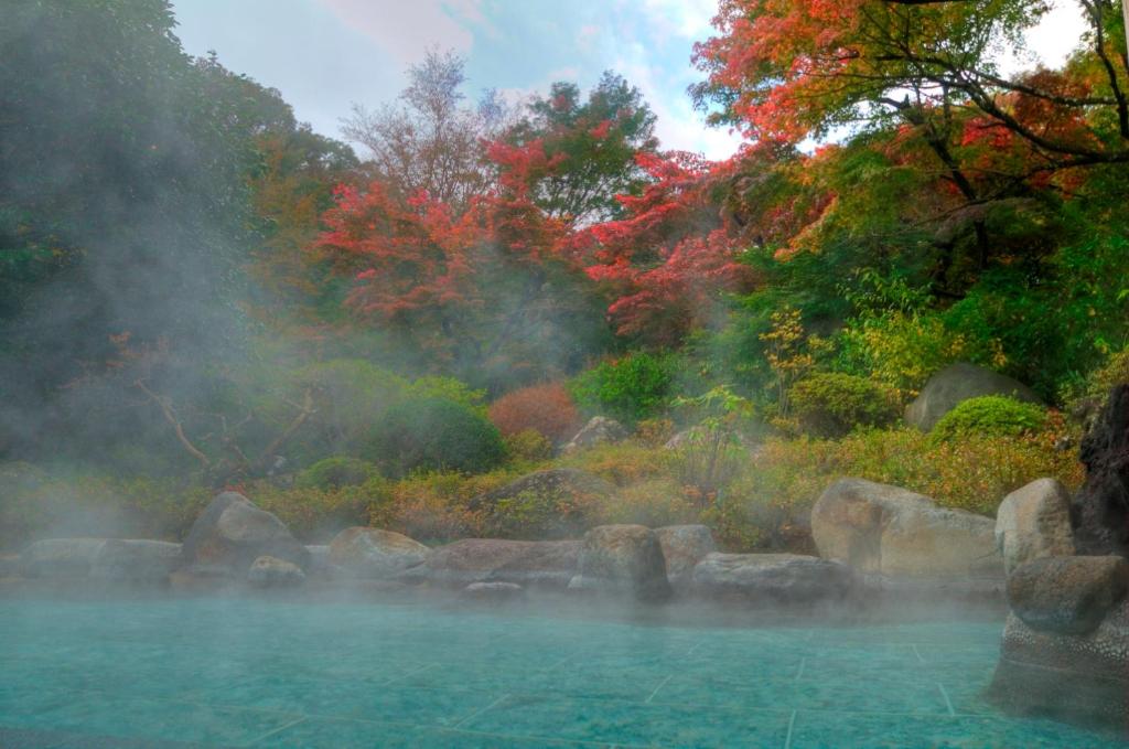 Yoshiike Ryokan outdoor hot spring surrounded by nature