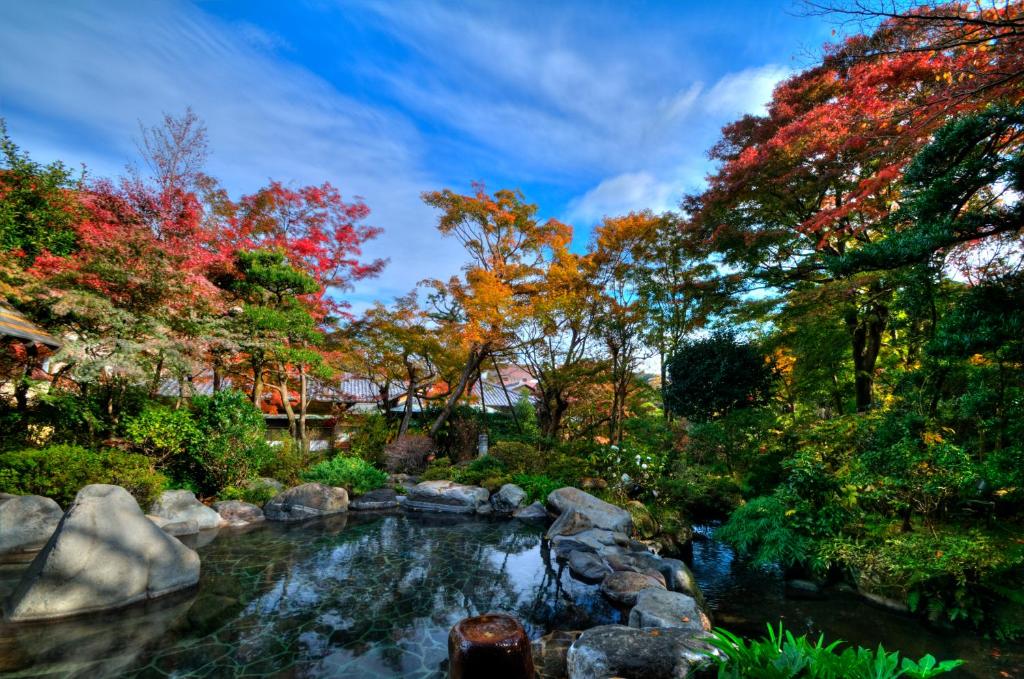 Yoshiike Ryokan outdoor hot spring with nature