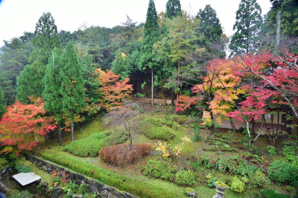 Yunohana Resort Suisen momiji