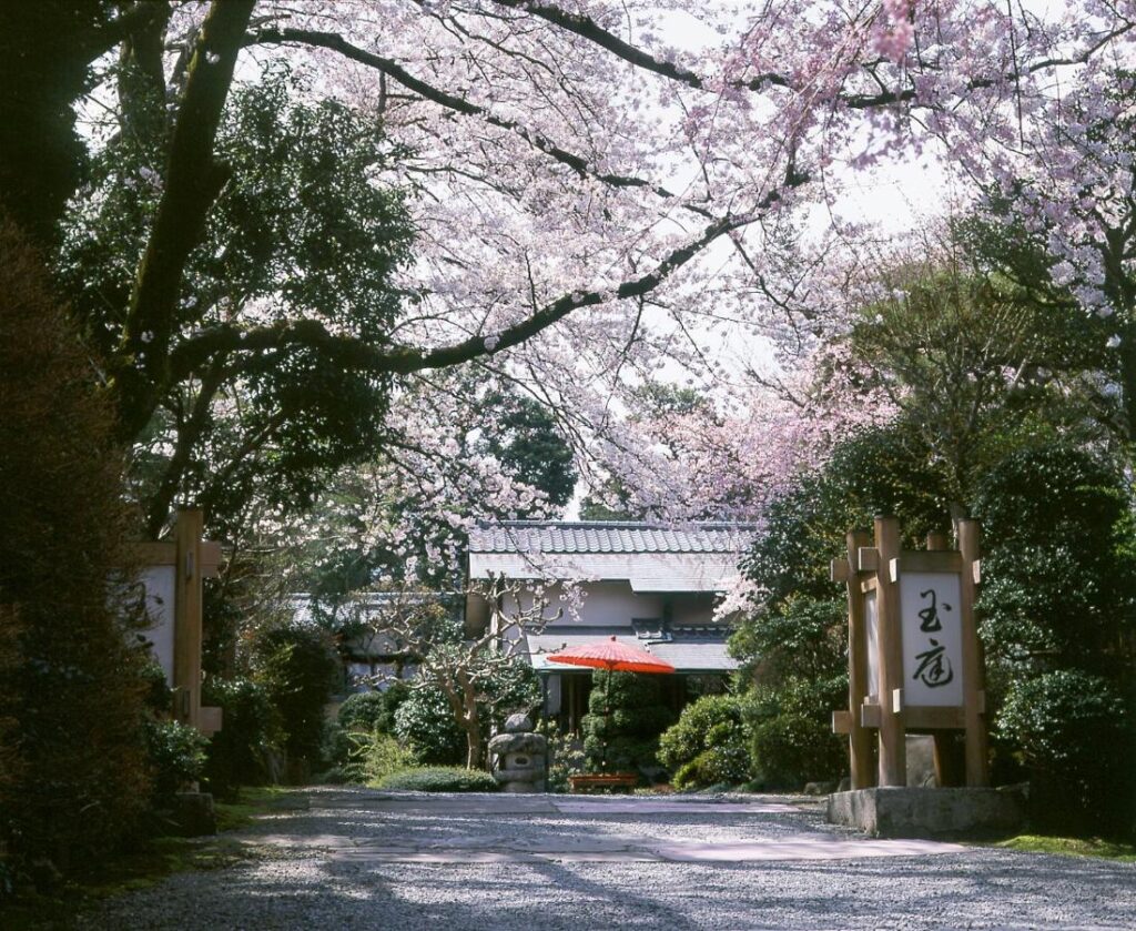 Gyokutei entrance with cherry blossoms