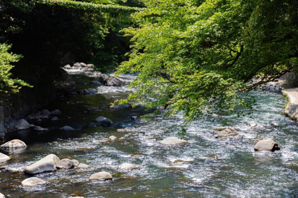 Ichinoyu Honkan river