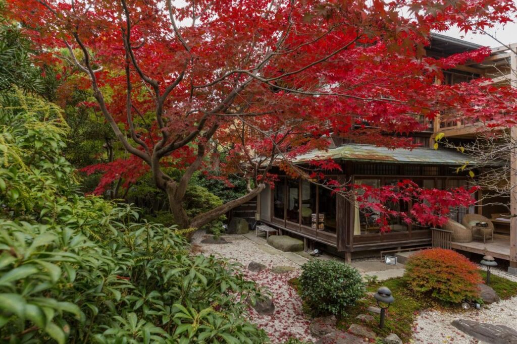Kyoto Nanzenji Ryokan Yachiyo view from garden