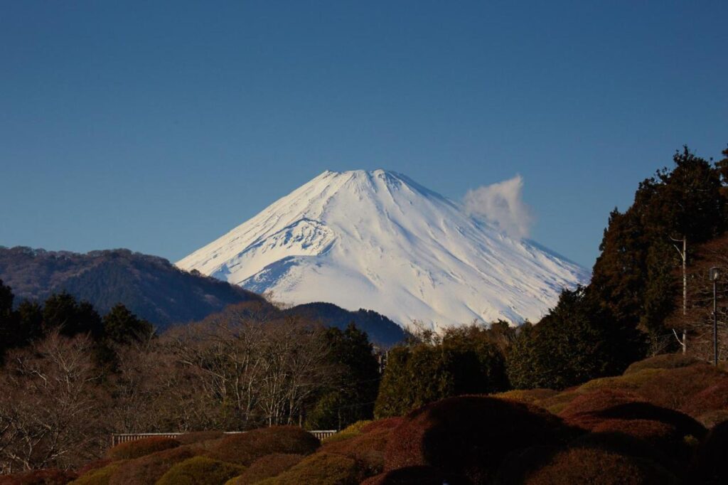 Odakyu Hotel de Yama mt fuji views