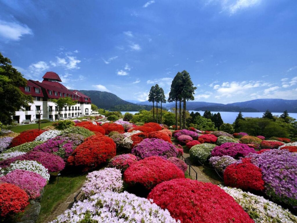 Odakyu Hotel de Yama stunning flowe garden