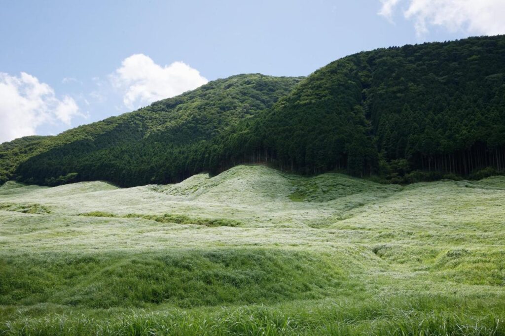 Susukinohara Ichinoyu around the hotel landscape