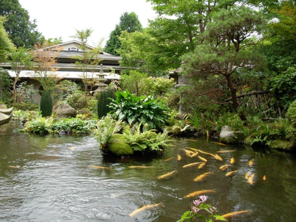 Yoshimatsu pond