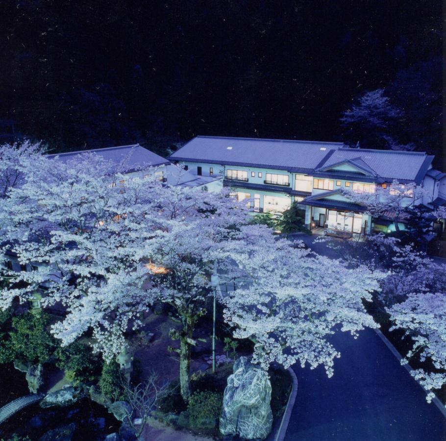 Okumizuma Onsen at night with sakura blossoms
