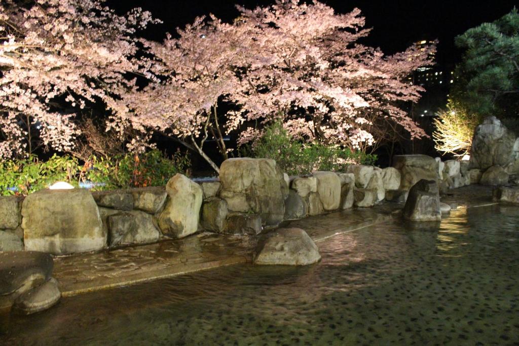 Bosenkan Onsen Cherry Blossoms