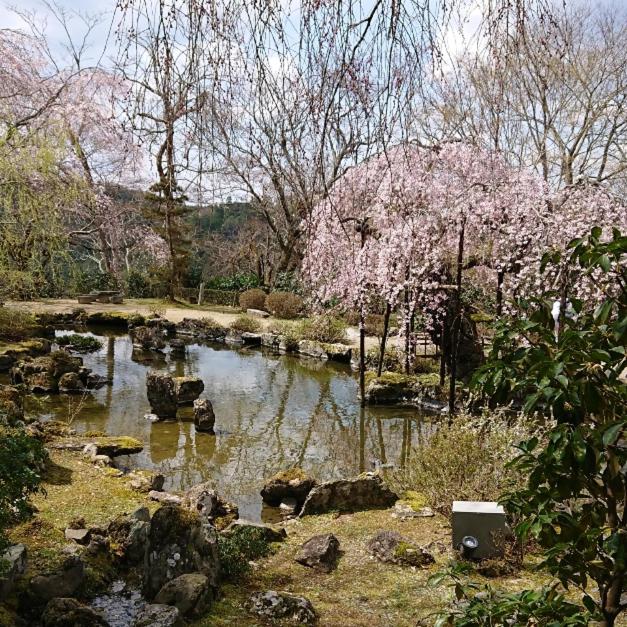 Chikurinin Gumpoen Garden Pond Sakura