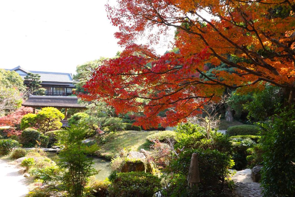 Daimaru Besso Autumn Garden