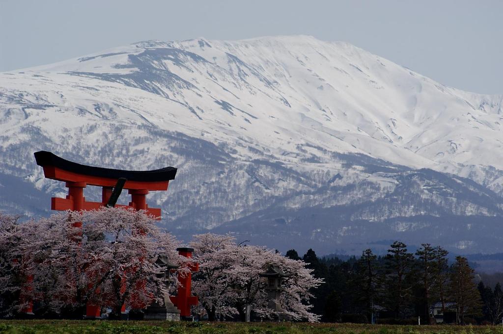Daishinbo Torii Mountains Cherry Blossoms