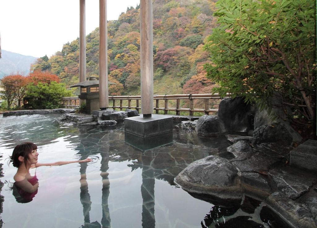 Entaijiso Outdoor Onsen View
