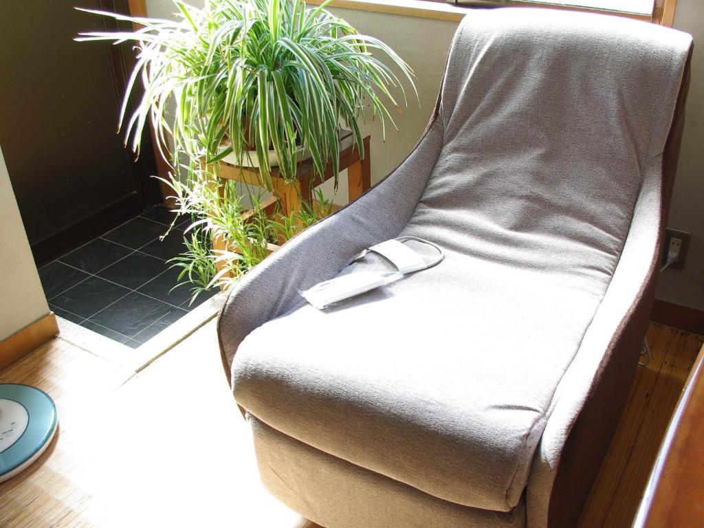 Fugaku Onsen Ryokan Chair Plant