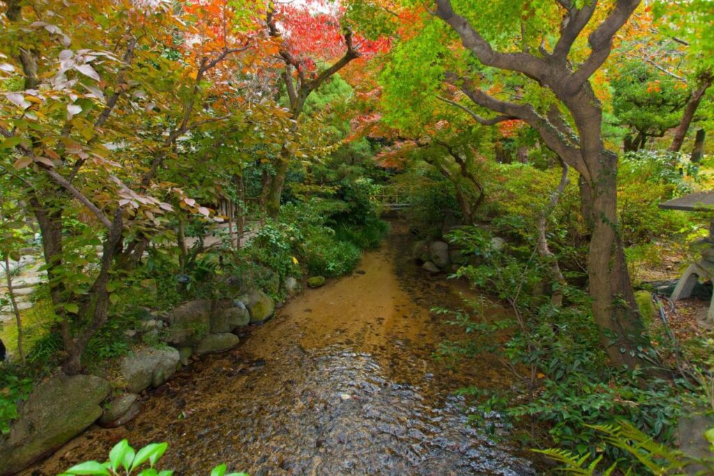 Funaya Garden Stream Autumn Leaves