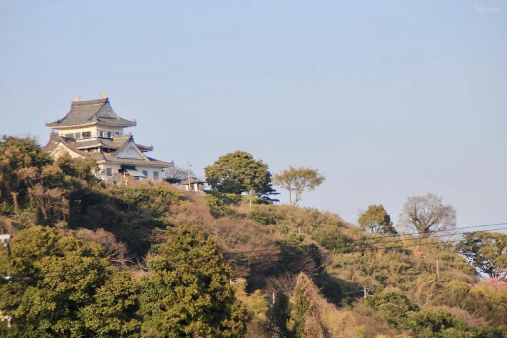 Hiromiya Toji Stay Castle Surrounded By Trees