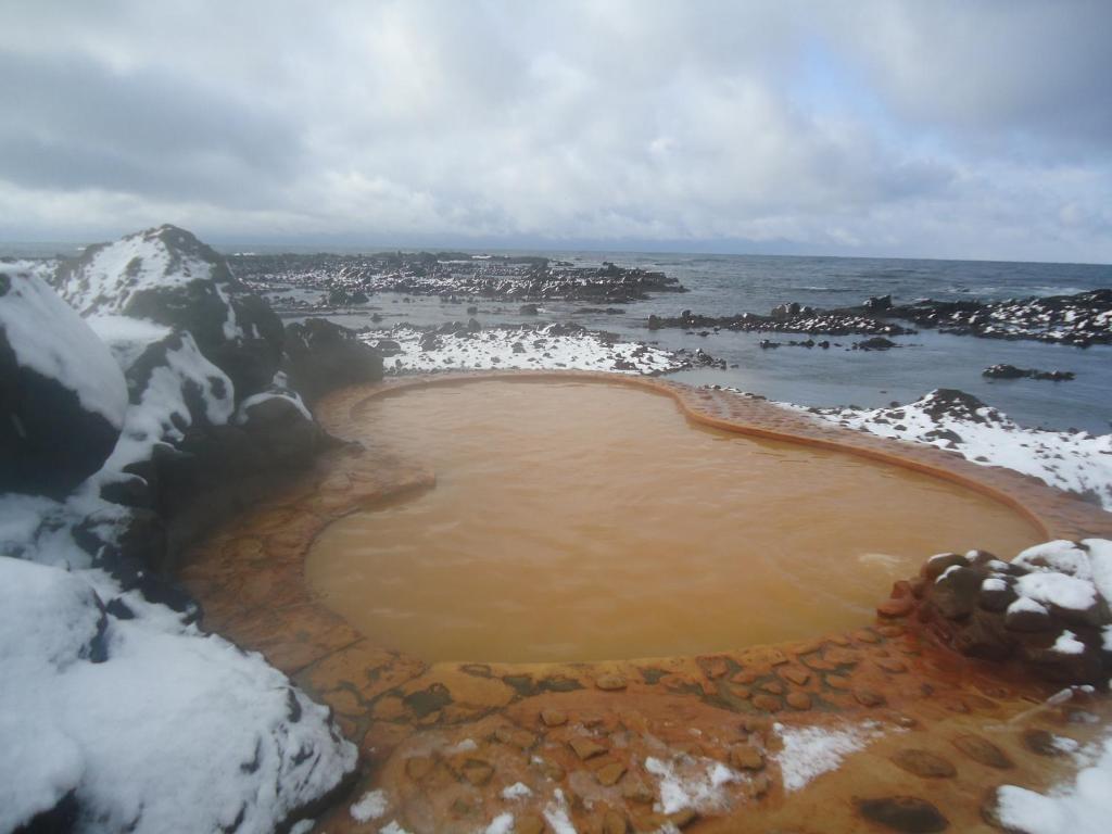 Koganezaki Furofushi Onsen Snowy Seaside Bath