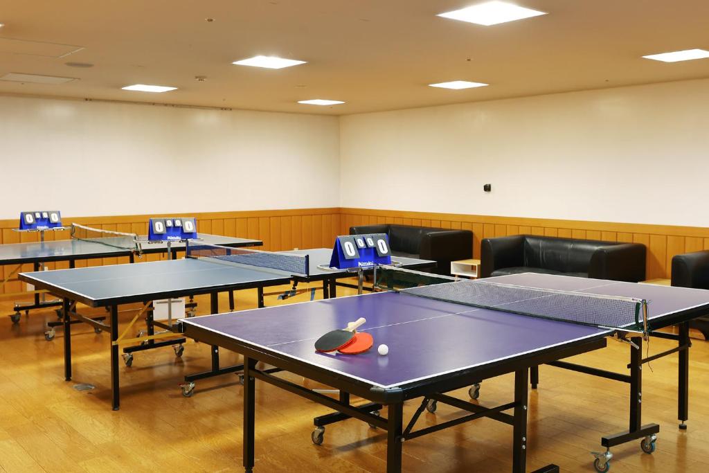 Oedo Onsen Monogatari Nikko Kirifuri Ping Pong Room
