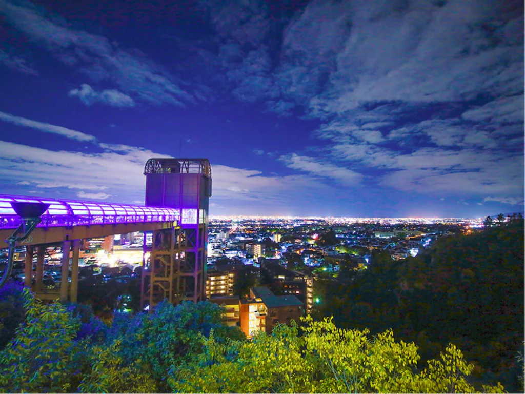 Ooedo Onsen Monogatari Minoh Kanko Hotel Night City View