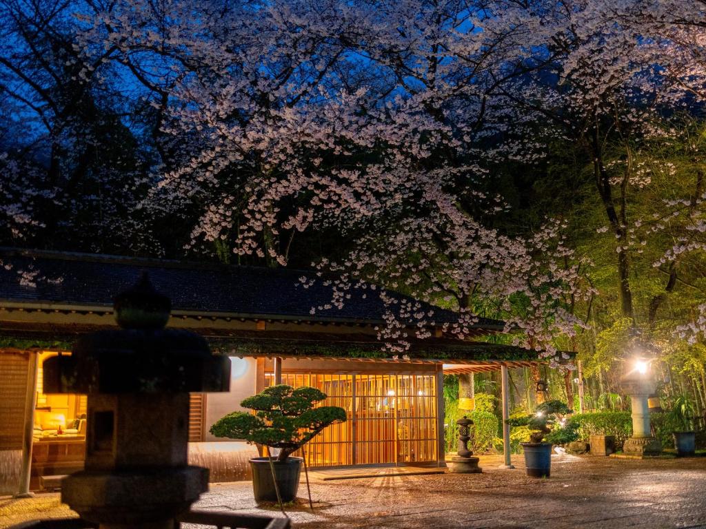Oukai Villa Izumi Cherry Blossoms Night