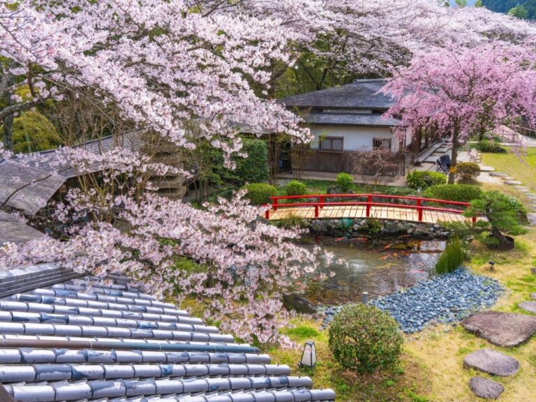 Oukai Villa Izumi Garden Cherry Blossoms Bridge