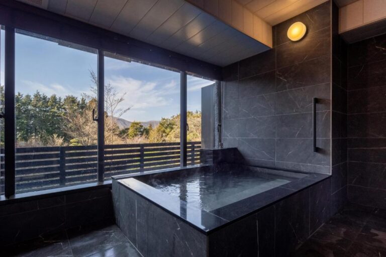 Sengokuhara Cocon Indoor Onsen View