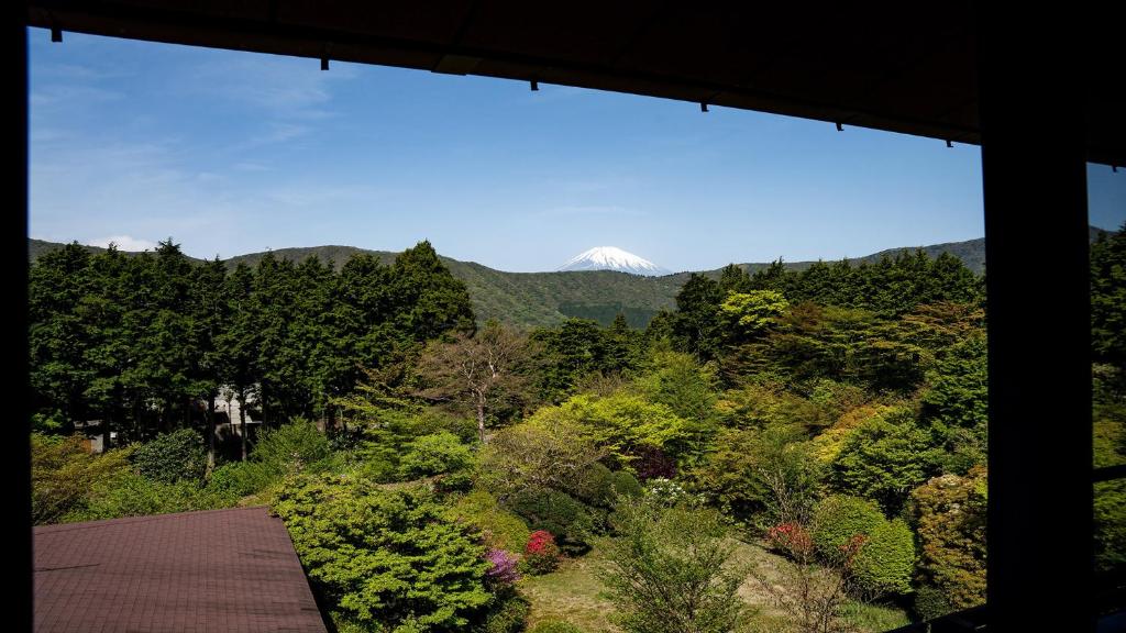 Sengokuhara Cocon Mountain View