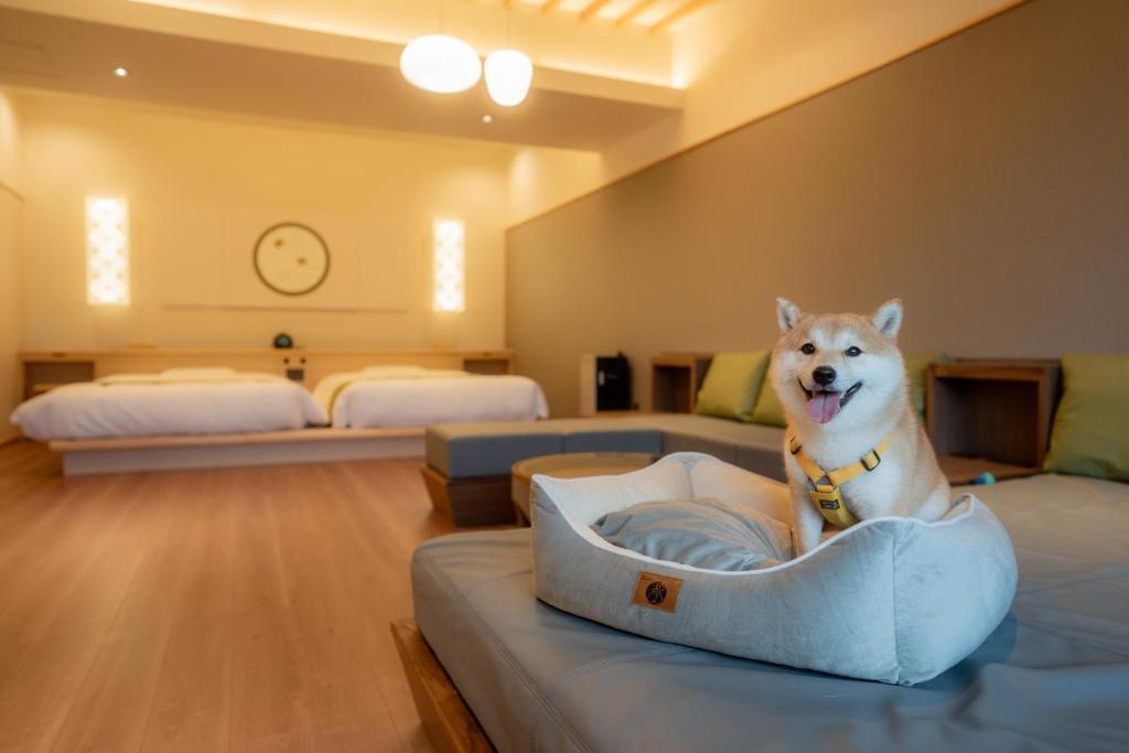 Ureshino Yadoya Room Shiba Inu