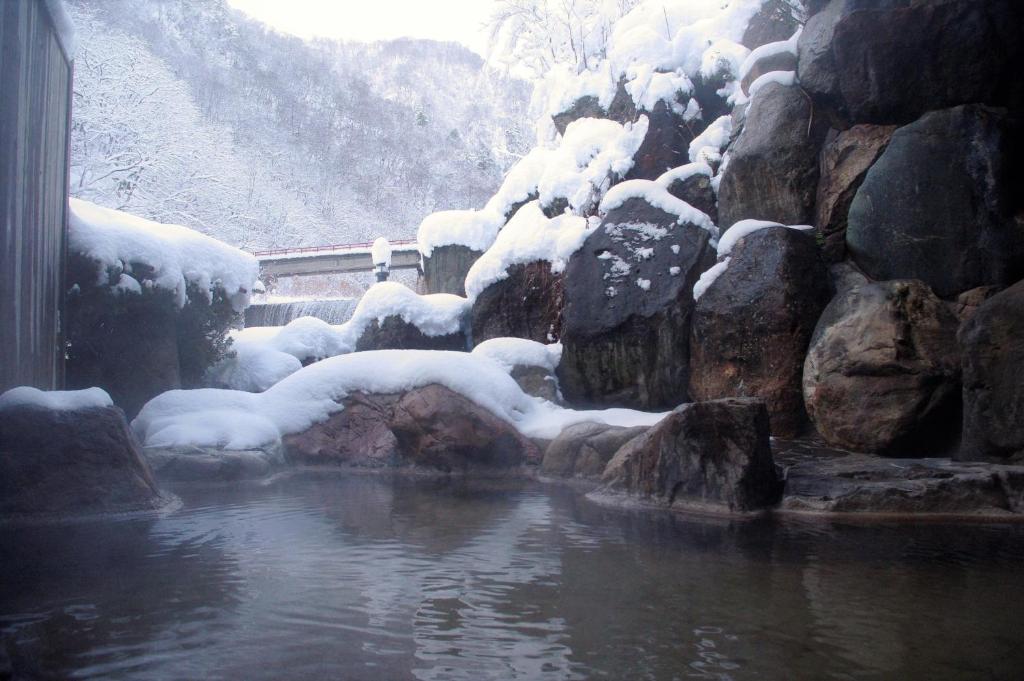 Hotel Ogawa Snowy Onsen