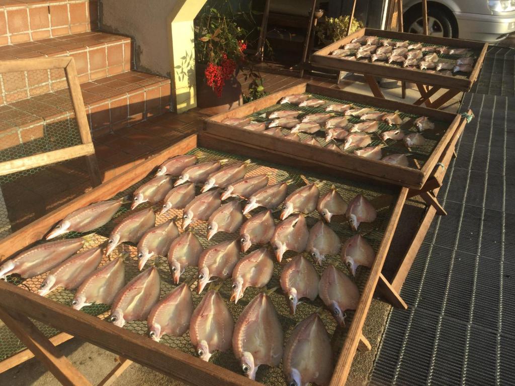 Fukumakan Drying Fish Outdoors