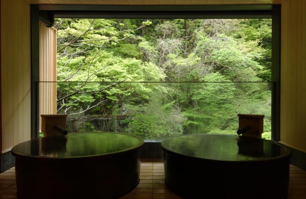 Harataki Onsen Tubs View