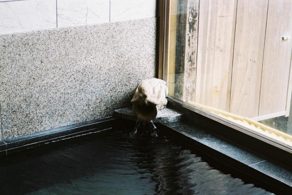 Hitomaru Kadan Onsen Bath