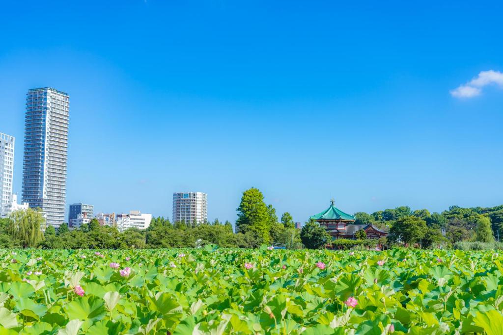 Hotel Kangetsuso Garden View