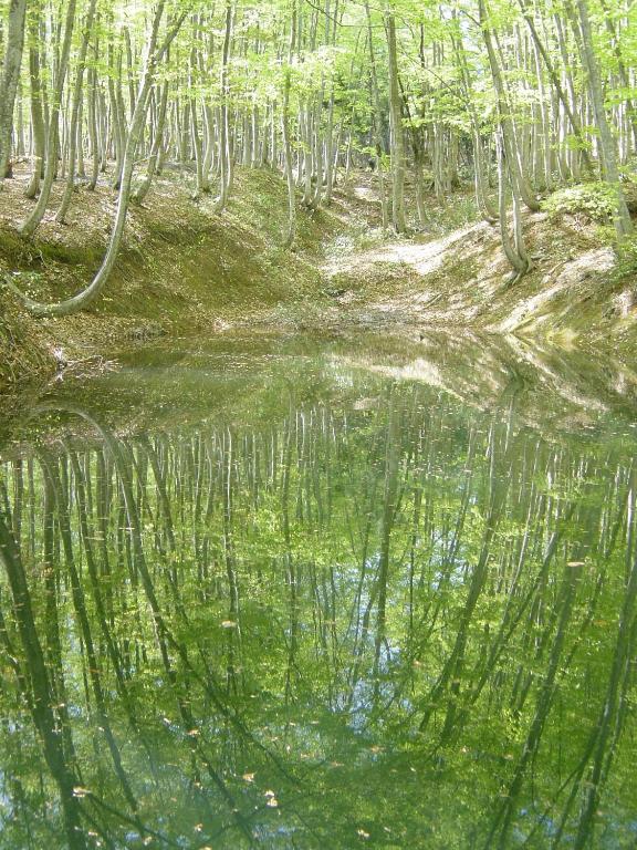 Hotel Kinomezaka Forest Reflection