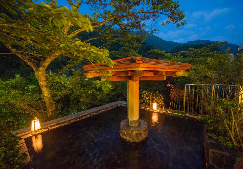Hotel Kurobe Outdoor Onsen