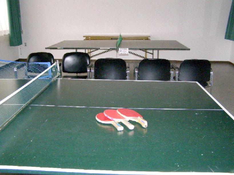 Hotel Masyu Ping Pong Table