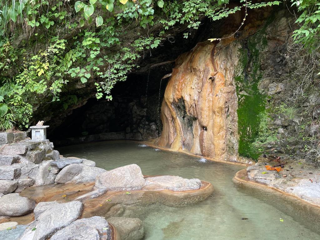 Hotel Ogawa Outdoor Onsen